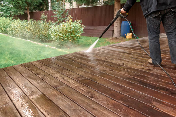 Animal Enclosure Cleaning in Sand Hill, PA